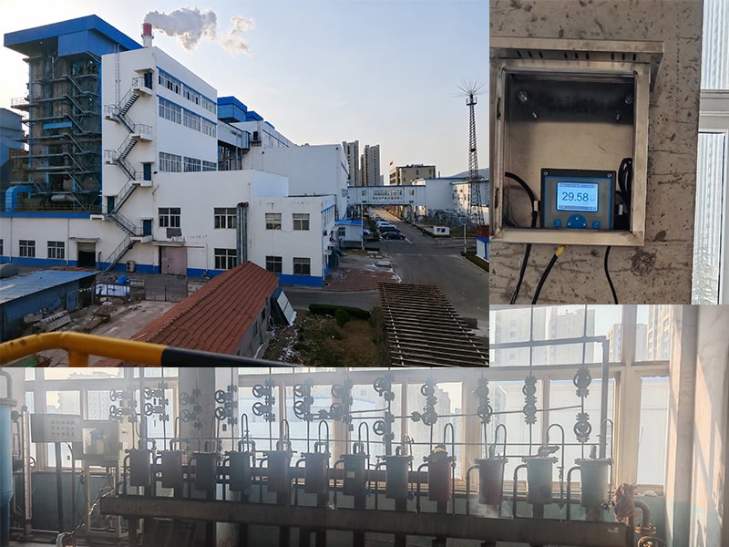火电厂水汽系统在线溶解氧监测系统